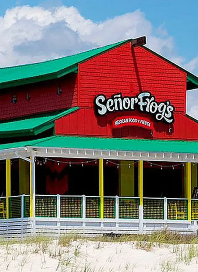 Señor Frog's Panama City Beach
